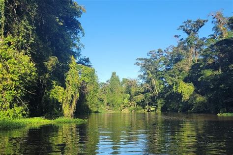 Canoe Boat Tour In Tortuguero Canal