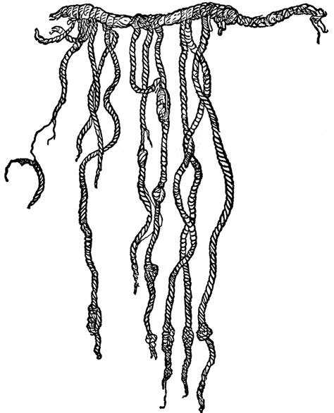 Quipu | ClipArt ETC