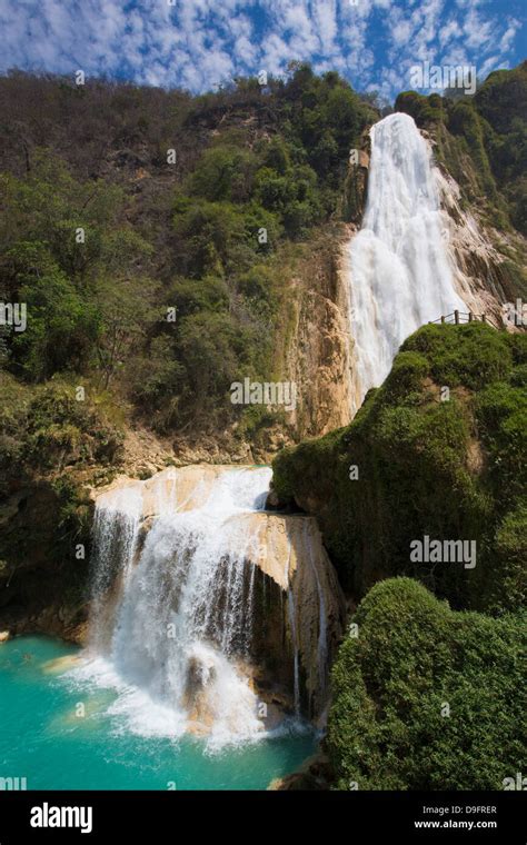 Cascada El Chiflon R O Vincente Chiapas M Xico Fotograf A De Stock