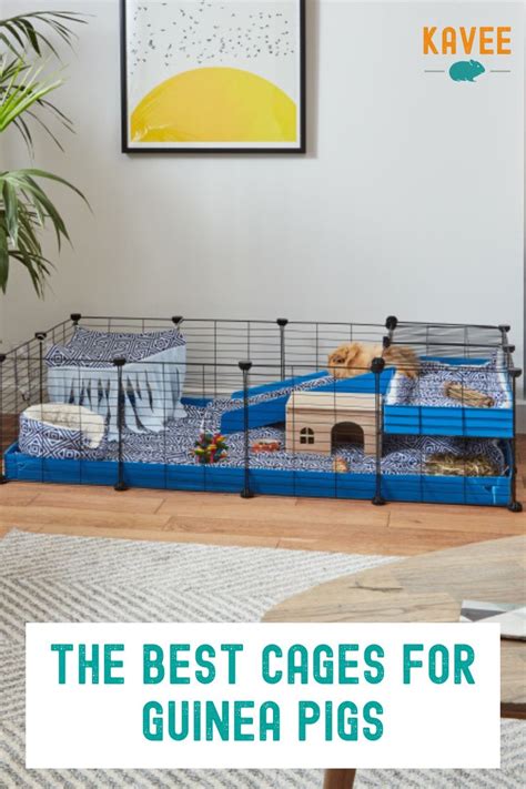 Best C C Cages For Guinea Pigs Guinea Pig Cage Guinea Pigs C C Cage