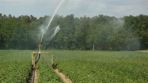 Manejo De Irriga O T Cnicas Que Todo Agricultor Precisa Conhecer