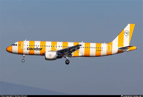 D Aicu Condor Airbus A Photo By Markus Altmann Id