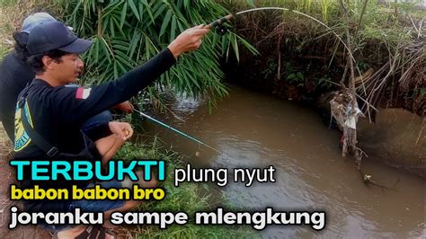 Mancing Wader Mancing Sehabis Hujan Air Keruh Ikannya Babon Babon