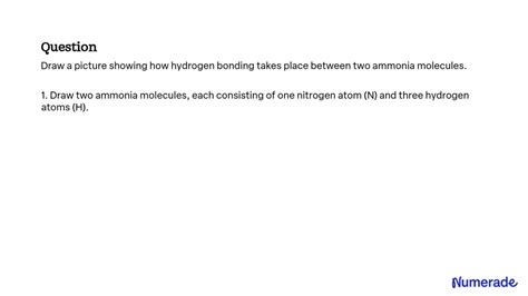 Solved Draw A Picture Showing How Hydrogen Bonding Takes Place Between Two Ammonia Molecules