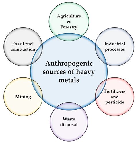 Toxics Free Full Text Heavy Metals And Pesticides Toxicity In