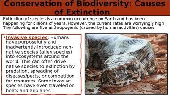 Ib Biology Unit A Unity And Diversity Chptr A Conserv Of