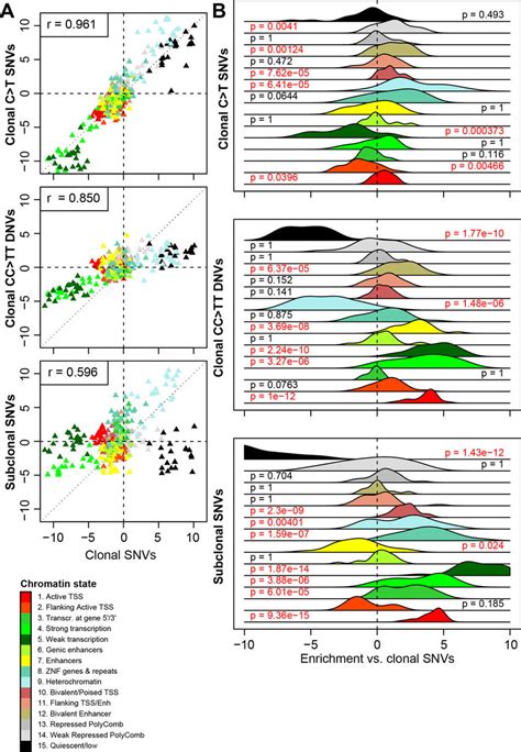 Associations Between Somatic Mutations And Chromatin States A