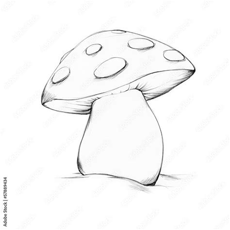 fliegenpilz stock gamesageddon