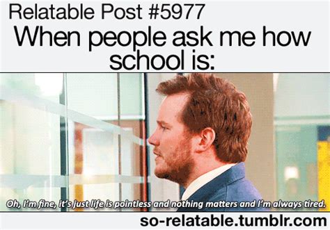 77 Images/Gifs That Perfectly Describe Your Schools Years | PlayBuzz