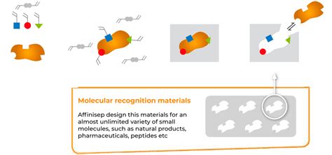 Molecularly Imprinted Polymers Affinisep