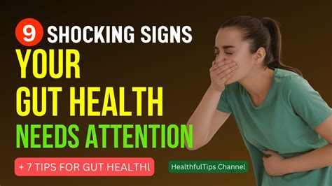 9 Shocking Signs Your Gut Health Needs Attention Find Out How To Stop