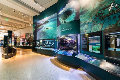 Smithsonian Museum in Washington, DC | Aquarium design, Custom aquarium, Smithsonian museum