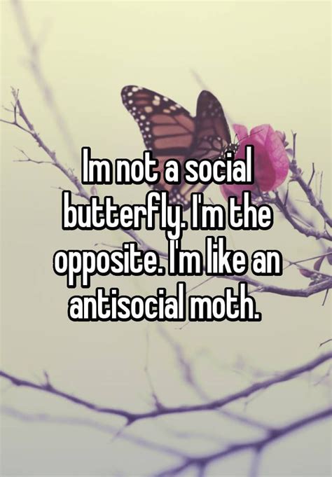 A Butterfly Sitting On Top Of A Branch With The Words I M Not A Social