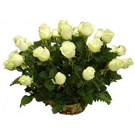 Basket Of 24 White Roses My Roses