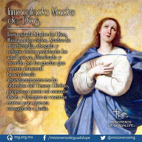 8 de Diciembre Inmaculada Concepción de María Santísima Inmaculada