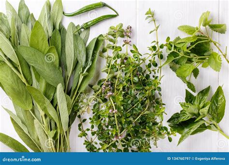 Aromatic Herbs And Spices From The Garden Stock Image Image Of Flower