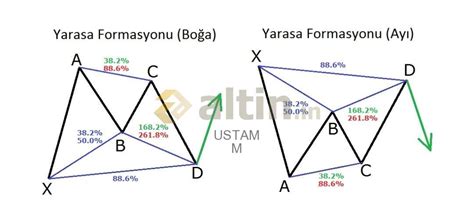 Yarasa Formasyonu Altin In