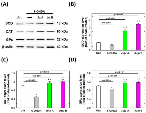 Molecules Free Full Text Protective Effects Of Jujubosides On 6