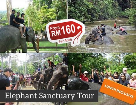 kuala gandah elephant sanctuary - Aisha Dasilva