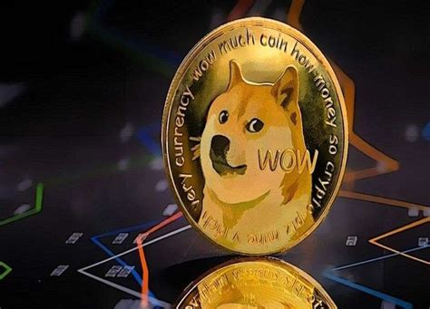 도지코인 전망 2024년~2050년 Doge 코인 상승 신호 Btcc