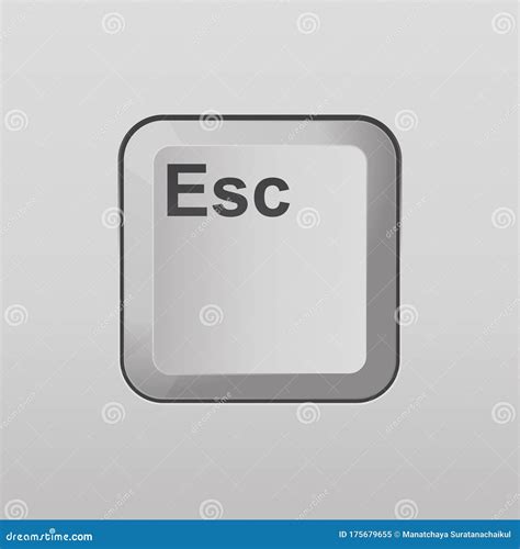 Esc Escape Key Icon Stock Vector Illustration Of Keyboard 175679655