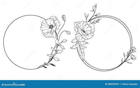 Floral Frames Line Art Fine Line Poppy Frames Hand Drawn Illustration