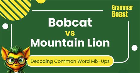 Bobcat Vs Mountain Lion Decoding Common Word Mix Ups