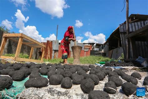 Members Of Women S Group Make Charcoal At Street Workshop In Tanzania