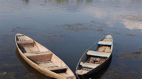 Dal Lake Boats Srinagar - Free photo on Pixabay - Pixabay