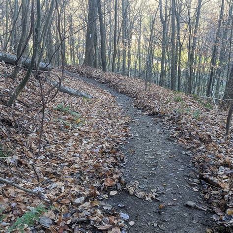 Experiences Lorain Stoneycreek Hiking Trails