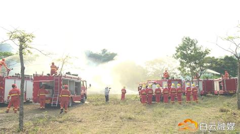 进入森林特别防护期！这些行为，禁止！澎湃号·媒体澎湃新闻 The Paper