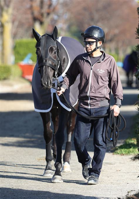 【注目馬動向】阪神jf3着のウォーターナビレラは武豊騎手とコンビ継続でチューリップ賞へ Umatoku 馬トク