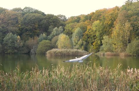 Quoi faire en forêt de Meudon la forêt la plus proche de Paris