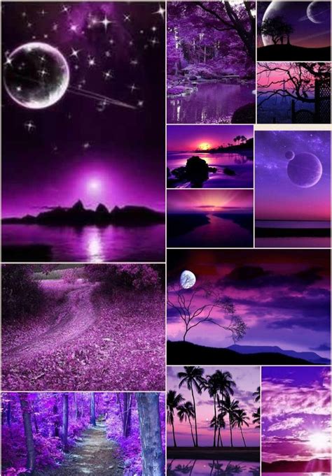 A Collage Of Purple And Black Images With Trees Water Moon And Stars