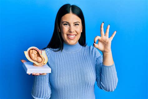 Beautiful Brunette Woman Holding Anatomical Model Of Female Uterus With