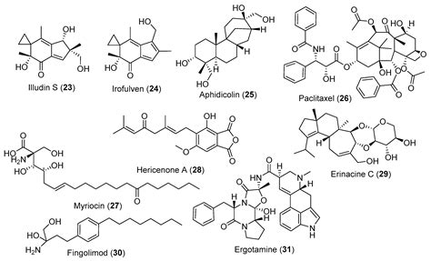 Encyclopedia Free Full Text Fungal Metabolites In Human Health And