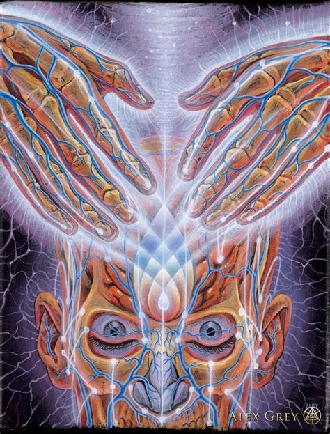 Pin On The Psychedelic Art Of Alex Grey Art