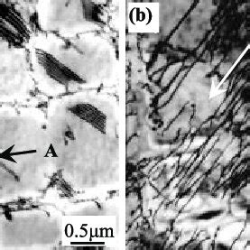 Microstructure Of The Re Free Single Crystal Nickel Based Superalloys