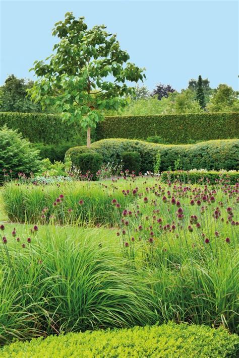 Épinglé par Vanya Konovalov sur Green | Jardin contemporain, Idées ...