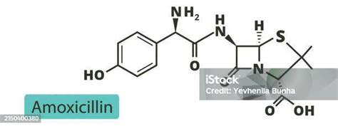 Amoxicillin Beta Lactam Antibiotic Drug Chemical And Skeletal Formula Stock Illustration