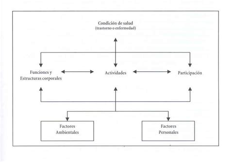 Esquema De Relaciones Conceptuales Entre Condici N De Discapacidad Y