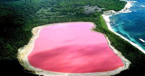 The Pink Lake - West Australia - Geology In