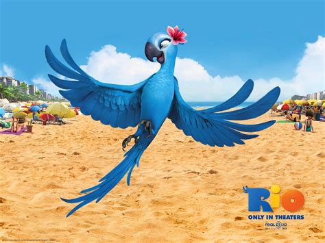 Rio Jewel Wallpapers - Wallpaper Cave