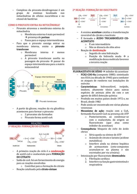 Solution Ciclo Do Acido Citrico Ou Ciclo De Krebs Studypool