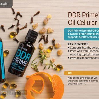 DōTERRA essential oils DDR Prime Cellular Complex 15 ml Bliz Wellness