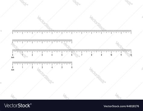 6 And 12 Inch Ruler Scale With Without Numbers Vector Image