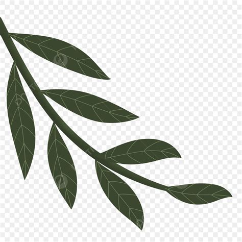 Green Leaf Branch Hd Transparent Green Branch Leaf Hand Drawing Png