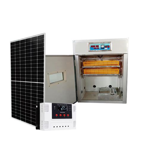 Fully Automatic Chicken Egg Solar Incubator Chicken Eggs