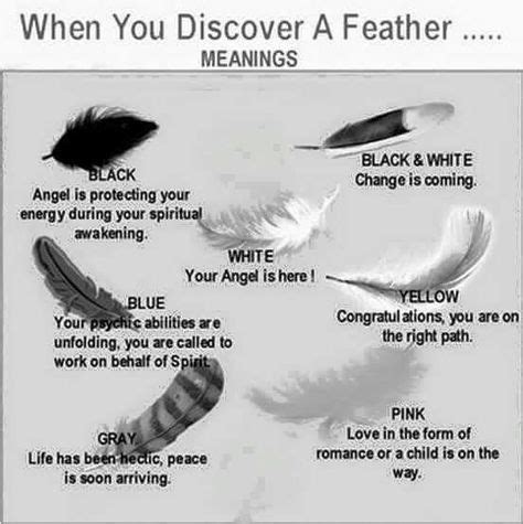 When You Discover A Feather Feather Meaning Spirituality Numerology