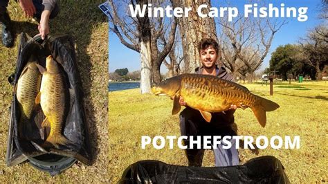 Winter Carp Fishing At Potchefstroom Dam Youtube